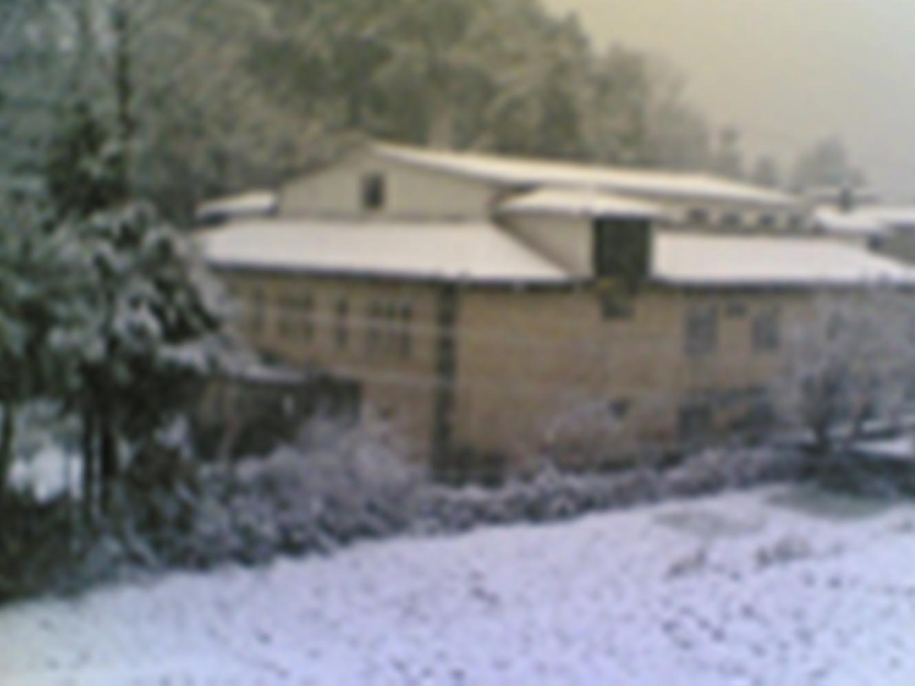 Langdale Manor Hotel Nainital Kültér fotó